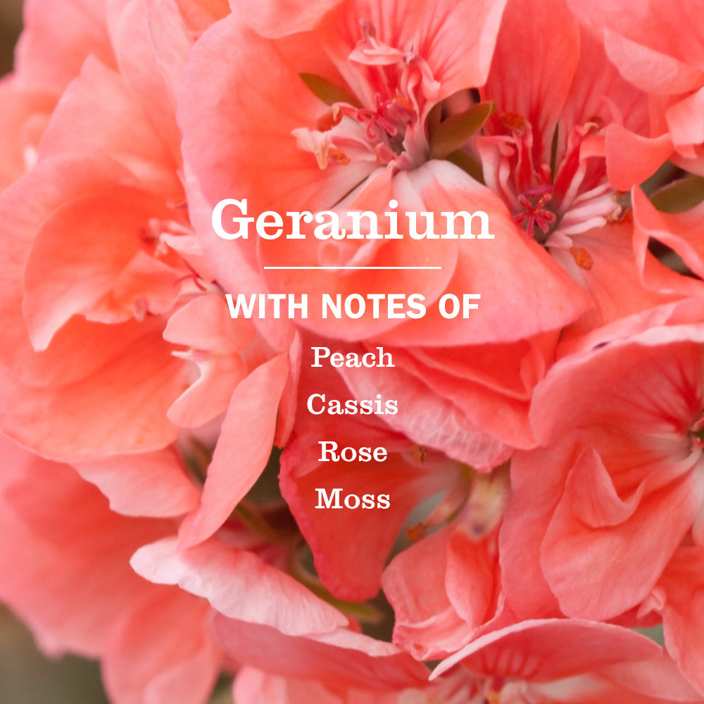 Mrs. Meyer's Geranium Kitchen Basics Set